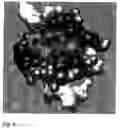 Fig. 06 - Collagen Receptor I-Domain Binding Modulators