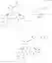 Fig. 37 - Glycopeptide antibiotic derivative