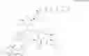 Fig. 79 - Glycopeptide antibiotic derivative