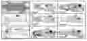 Fig. 01 - Modified cupredoxin derived peptides