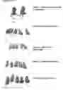 Fig. 46 - Modified cupredoxin derived peptides