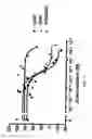 Fig. 02 - Epidermal Growth Factor Receptor Antagonists and Methods of Use