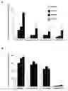 Fig. 01 - Remedies for ischemia
