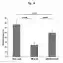 Fig. 15 - Remedies for ischemia