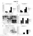 Fig. 20 - Remedies for ischemia