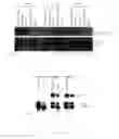 Fig. 02 - METHODS AND COMPOSITIONS FOR THE TREATMENT OF XEROSTOMIA