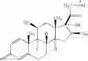 Fig. 08 - Compounds for delivery of therapeutic and imaging moieties to nerve cells