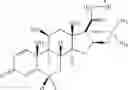 Fig. 11 - Compounds for delivery of therapeutic and imaging moieties to nerve cells