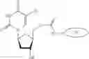 Fig. 19 - Compounds for delivery of therapeutic and imaging moieties to nerve cells