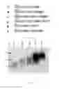 Fig. 02 - Long-acting veterinary polypeptides and methods of producing and administering same
