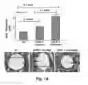Fig. 02 - Methods for improving the structure and function of arterioles