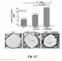 Fig. 04 - Methods for improving the structure and function of arterioles