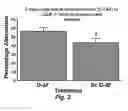 Fig. 06 - Methods for improving the structure and function of arterioles