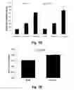 Fig. 12 - Methods for improving the structure and function of arterioles