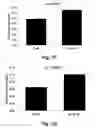 Fig. 13 - Methods for improving the structure and function of arterioles