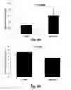 Fig. 16 - Methods for improving the structure and function of arterioles