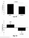 Fig. 19 - Methods for improving the structure and function of arterioles