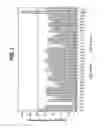 Fig. 06 - INHIBITION OF ALPHA-SYNUCLEIN AGGREGATION