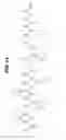 Fig. 11 - INHIBITION OF ALPHA-SYNUCLEIN AGGREGATION