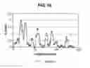 Fig. 12 - INHIBITION OF ALPHA-SYNUCLEIN AGGREGATION
