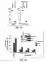 Fig. 03 - Anti-inflammatory compounds and uses thereof