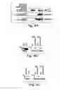 Fig. 07 - Anti-inflammatory compounds and uses thereof