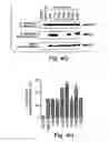 Fig. 09 - Anti-inflammatory compounds and uses thereof
