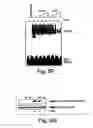 Fig. 12 - Anti-inflammatory compounds and uses thereof