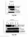 Fig. 20 - Anti-inflammatory compounds and uses thereof