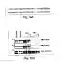 Fig. 24 - Anti-inflammatory compounds and uses thereof