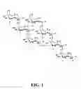 Fig. 02 - Stable pharmaceutical formulations