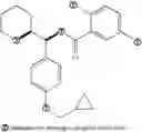 Fig. 52 - Inhibitors of GLYT1 transporters
