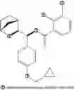 Fig. 72 - Inhibitors of GLYT1 transporters