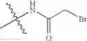 Fig. 49 - Kinase inhibitors
