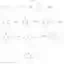 Fig. 19 - Purinone derivatives as HM74A agonists