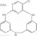 Fig. 1007 - Macrocyclic compounds and their use as kinase inhibitors