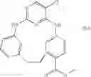 Fig. 445 - Macrocyclic compounds and their use as kinase inhibitors