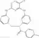 Fig. 892 - Macrocyclic compounds and their use as kinase inhibitors