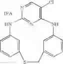 Fig. 962 - Macrocyclic compounds and their use as kinase inhibitors