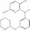 Fig. 982 - Macrocyclic compounds and their use as kinase inhibitors