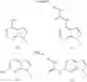 Fig. 16 - Compounds and methods for kinase modulation, and indications therefor