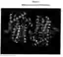 Fig. 06 - PDE4B inhibitors and uses therefor