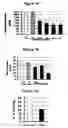 Fig. 02 - METHODS FOR THE TREATMENT OF BRAIN EDEMA