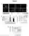 Fig. 03 - METHODS FOR THE TREATMENT OF BRAIN EDEMA