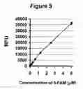 Fig. 06 - METHODS FOR THE TREATMENT OF BRAIN EDEMA