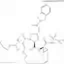 Fig. 197 - MACROCYCLIC COMPOUNDS AS INHIBITORS OF VIRAL REPLICATION