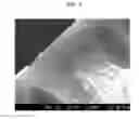 Fig. 04 - POLYAMIC ACIDS DOPE COMPOSITION, PREPARATION METHOD OF HOLLOW FIBER USING THE SAME AND HOLLOW FIBER PREPARED THEREFROM