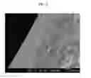 Fig. 07 - POLYAMIC ACIDS DOPE COMPOSITION, PREPARATION METHOD OF HOLLOW FIBER USING THE SAME AND HOLLOW FIBER PREPARED THEREFROM