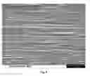 Fig. 05 - Water-sensitive film containing an olefinic elastomer