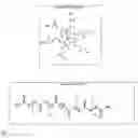 Fig. 02 - Hyperbranched Polymers